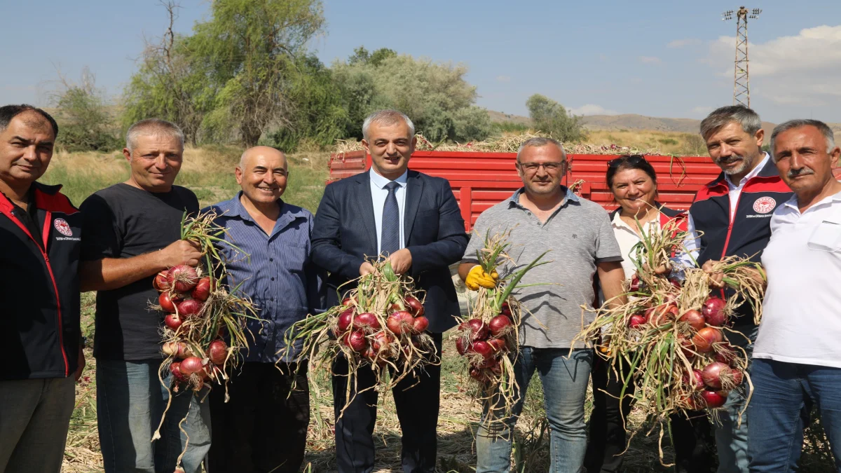 Kılıçlar Soğanında Üretim Artırılacak
