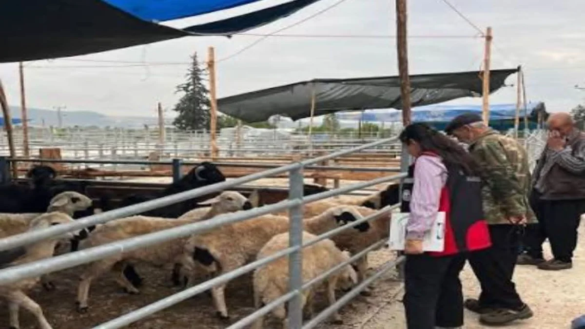 Kırıkkale Hayvan Pazarı Şap Hastalığı Nedeniyle Geçici Olarak Kapatıldı