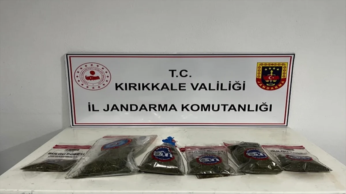 Kırıkkale’de Bahçeden Kenevir Çıktı: 1 Kilo 240 Gram Esrar Ele Geçirildi