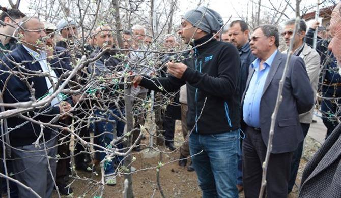 Budama ve Aşılama Teknikleri Anlatıldı