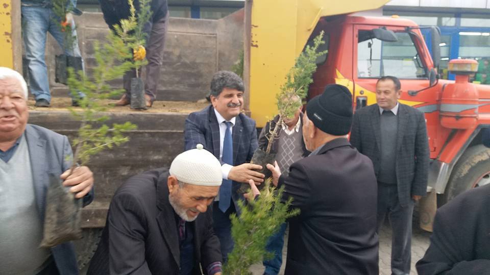 BAŞKAN UYAR 500 ADET ÇAM AĞACI DAĞITTI