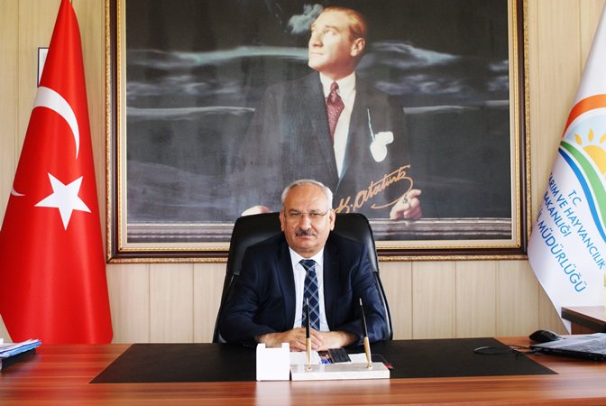 Büyük ve Küçükbaş Hayvanlara Küpe Affı