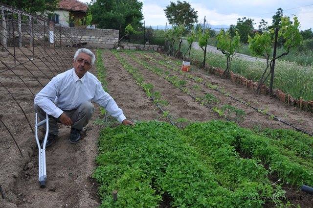 Dilenmedim, Çalıştım