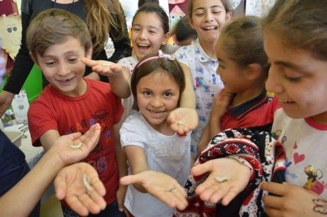Çocuklar Böceklerden Korkmamayı Öğrendi