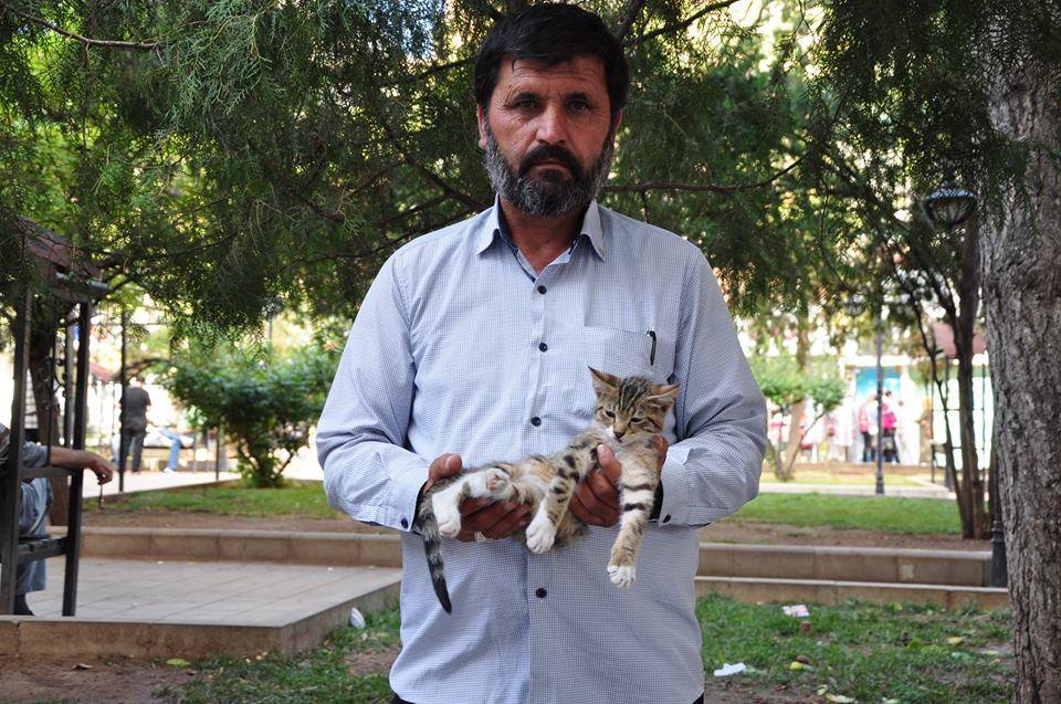 YARALI KEDİ AMELİYAT OLACAK