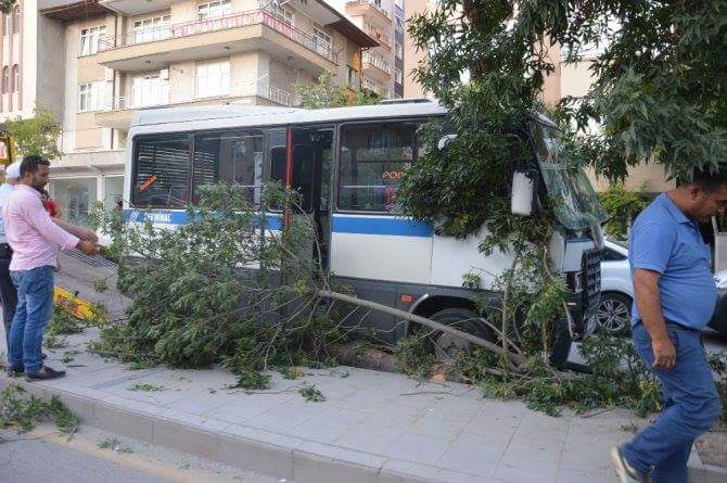 Freni Patlayan Minibüs Ağacı Yıktı