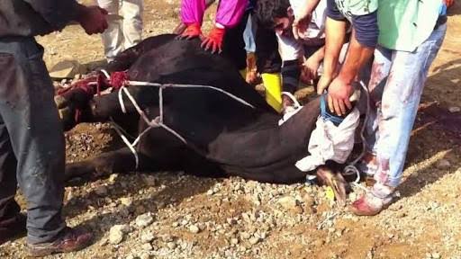 Kurban Ateş Pahası