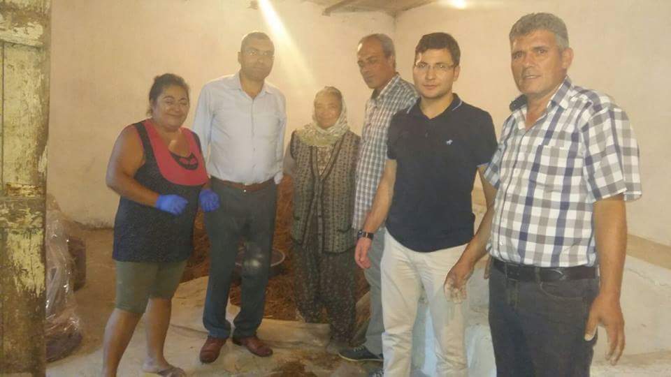 İSTİRİDYE MANTARI İLE ALTERNATİF GELİR