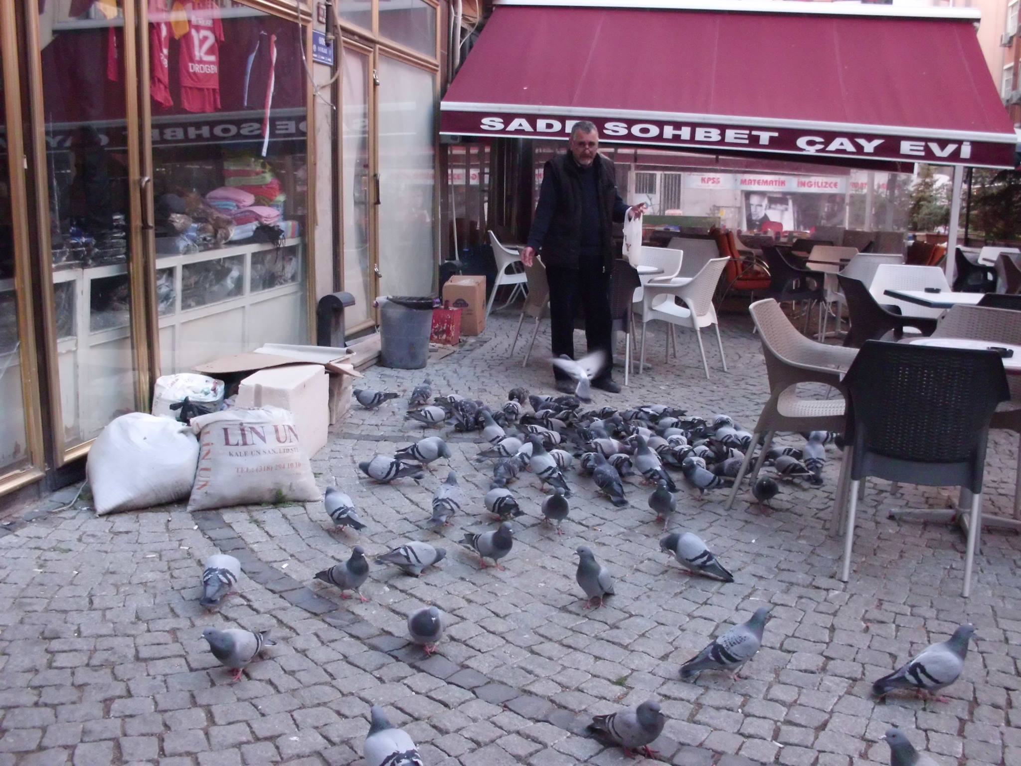 Koçoğlu, Güvercinleri Elleriyle Besliyor