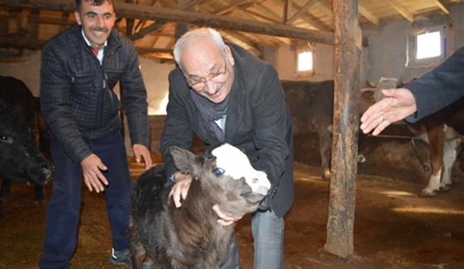 Sırrı Yılmaz Köy Ziyaretlerini Sürdürüyor