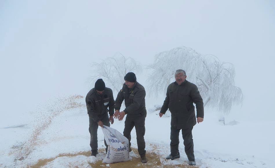 Doğaya Yaban Hayvanları İçin Yem Bırakıldı