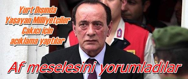 Af Meselesini Yorumladılar