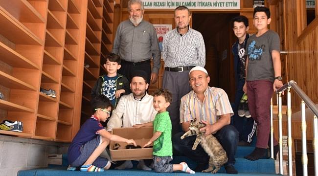 Cemaat Camide Yavrulayan Kediye Sahip Çıktı