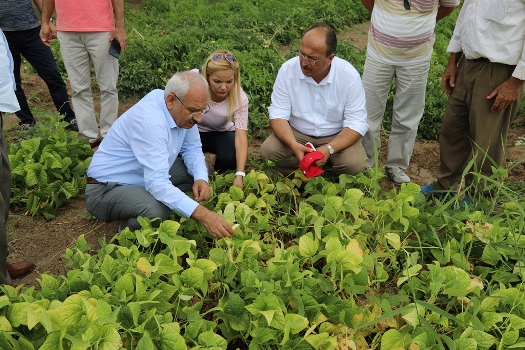 Hedefimiz Verimi ve Ürün Çeşitliliğini Artırmak