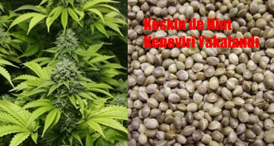 Keskin’de Uyuşturucu Operasyonu