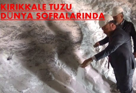 Kırıkkale Tuzu Dünya Sofralarında