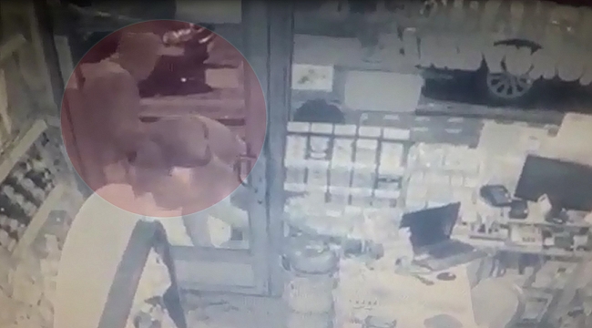Hırsızlar Güvenlik Kamerasına Yakalandı
