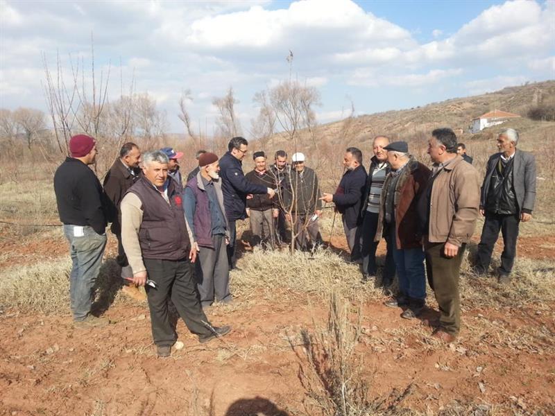 Çiftçilere Budama Eğitimi Başladı