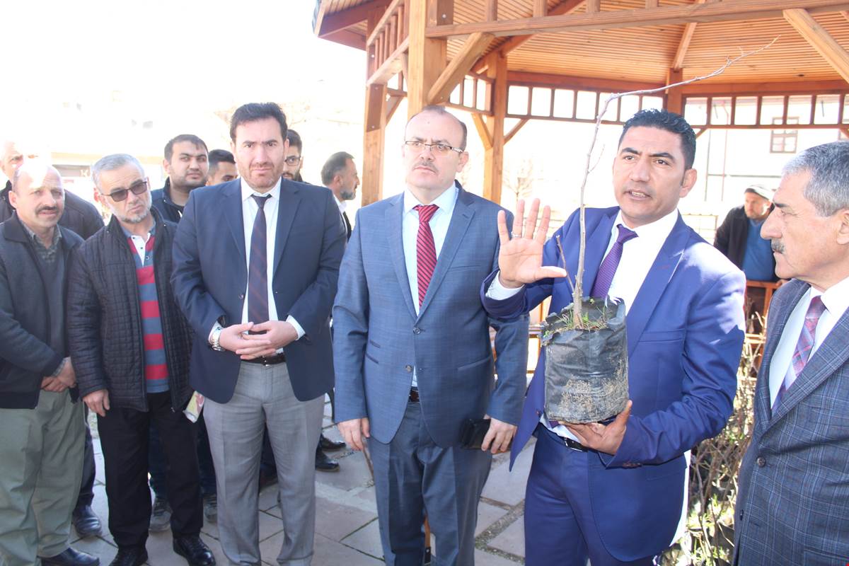 Keskin’de Ihlamur Fidanı Dağıtıldı