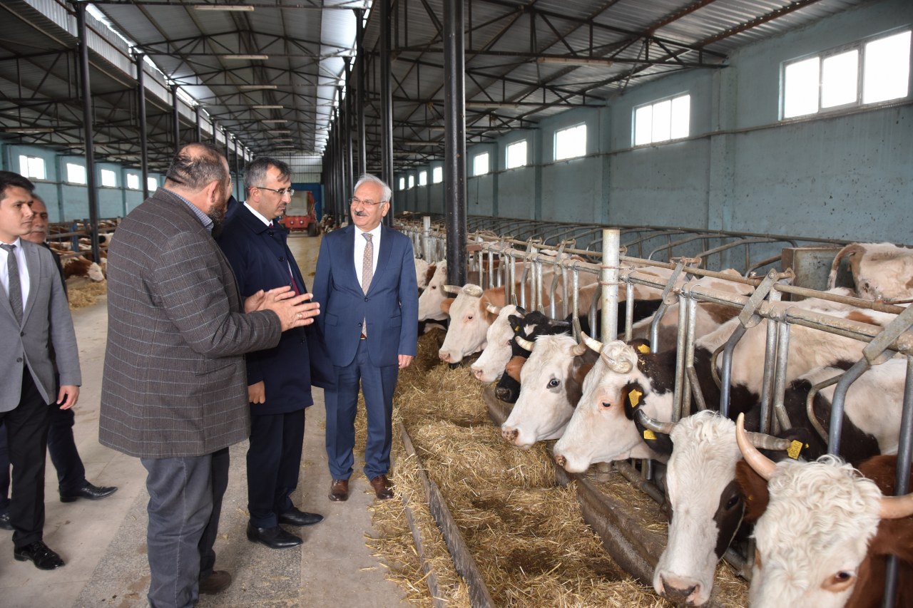 Mera Islah Çalışmasını İnceledi Hayvancılık İşletmelerini Ziyaret Etti