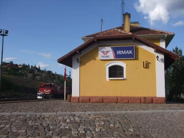 Irmak köyünde çıkan yangında bir kişi öldü