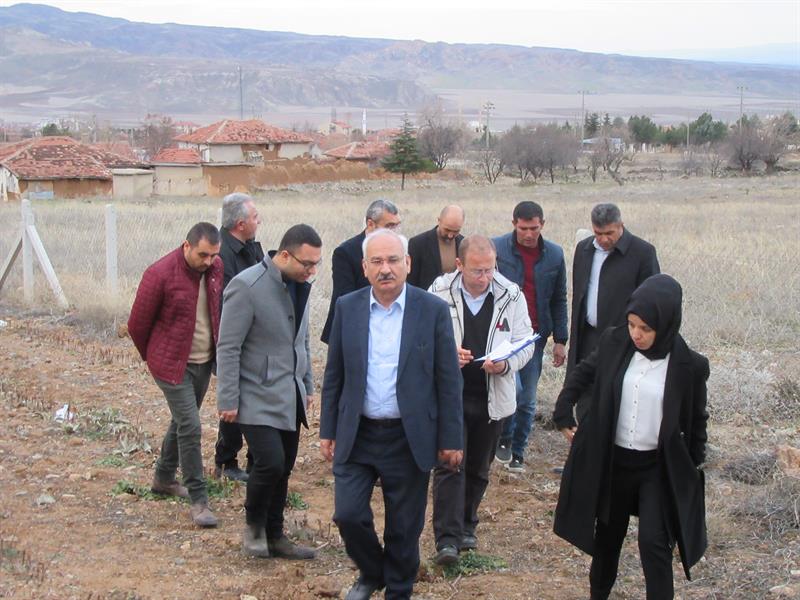 Delice Beyazı Üzüm Fidanından 150 Bin Adet Üretilecek