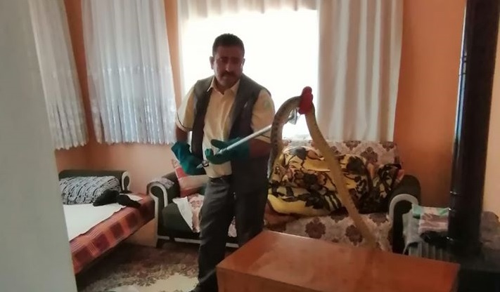 Keskin’de Eve Giren Yılan Korkuya Neden Oldu