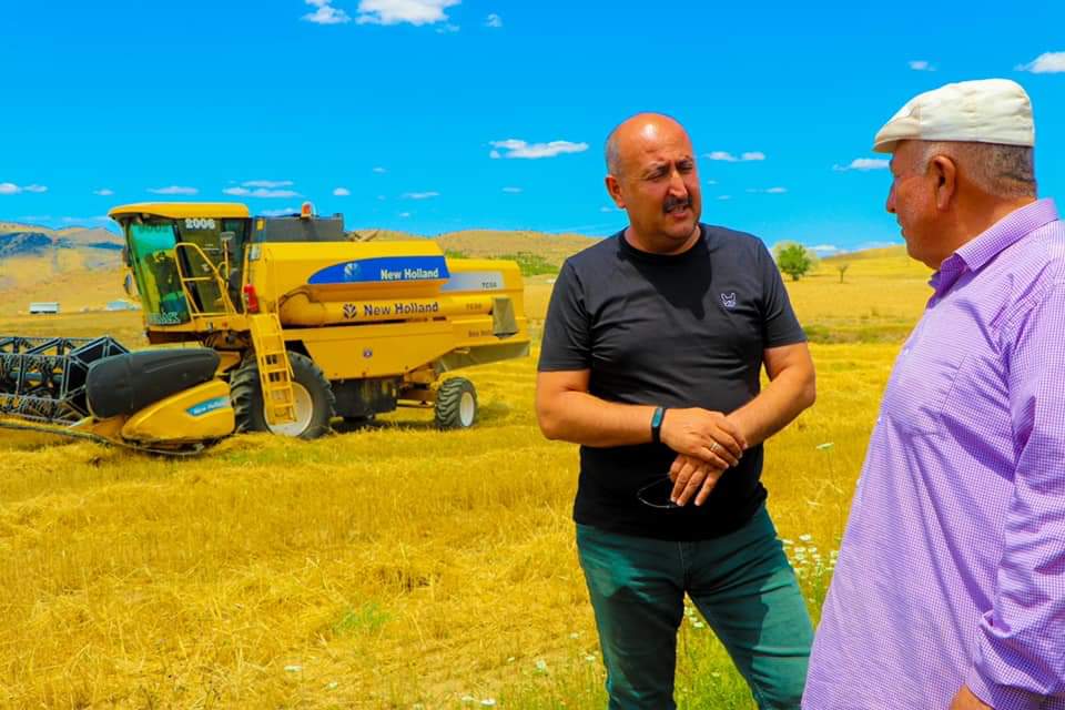 Yahşihan’da hasat zamanı