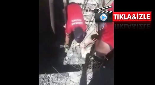 Foseptik Çukuruna Düşen Köpek 2 Saatte Kurtarıldı