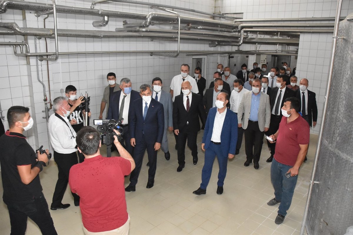 Çelebi Süt İşletmesi 21 Yıl Sonra Yeniden Faaliyette…