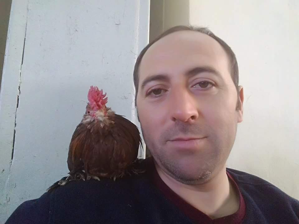 Memur Aykanat’ın “Süs Tavuğu” Tutkusu