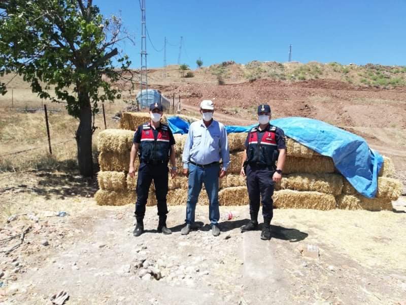 Saman Balyası Hırsızlığı Şüphelisi Yakalandı