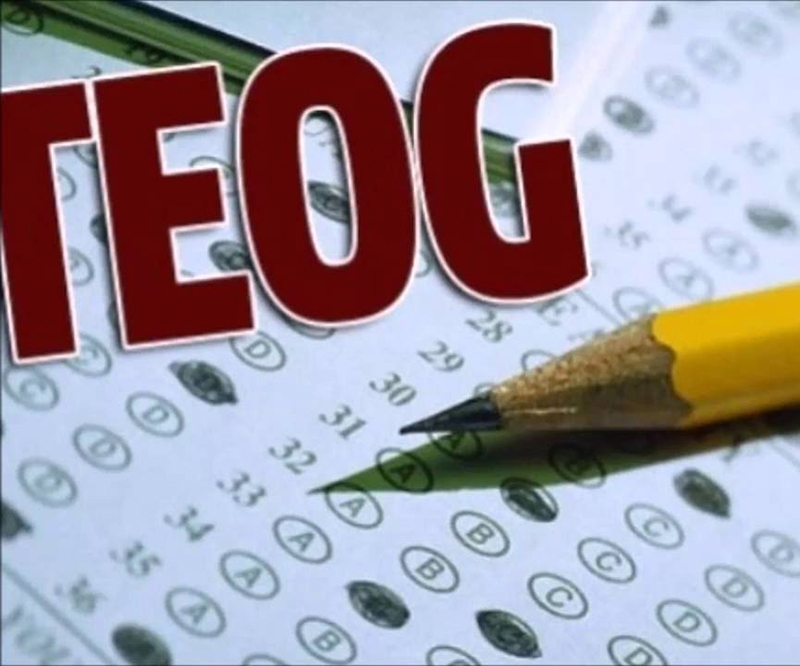 TEOG Sonuçları Açıklandı