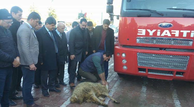 Bahşılı Belediyesi Araç Filosunu Güçlendiriyor