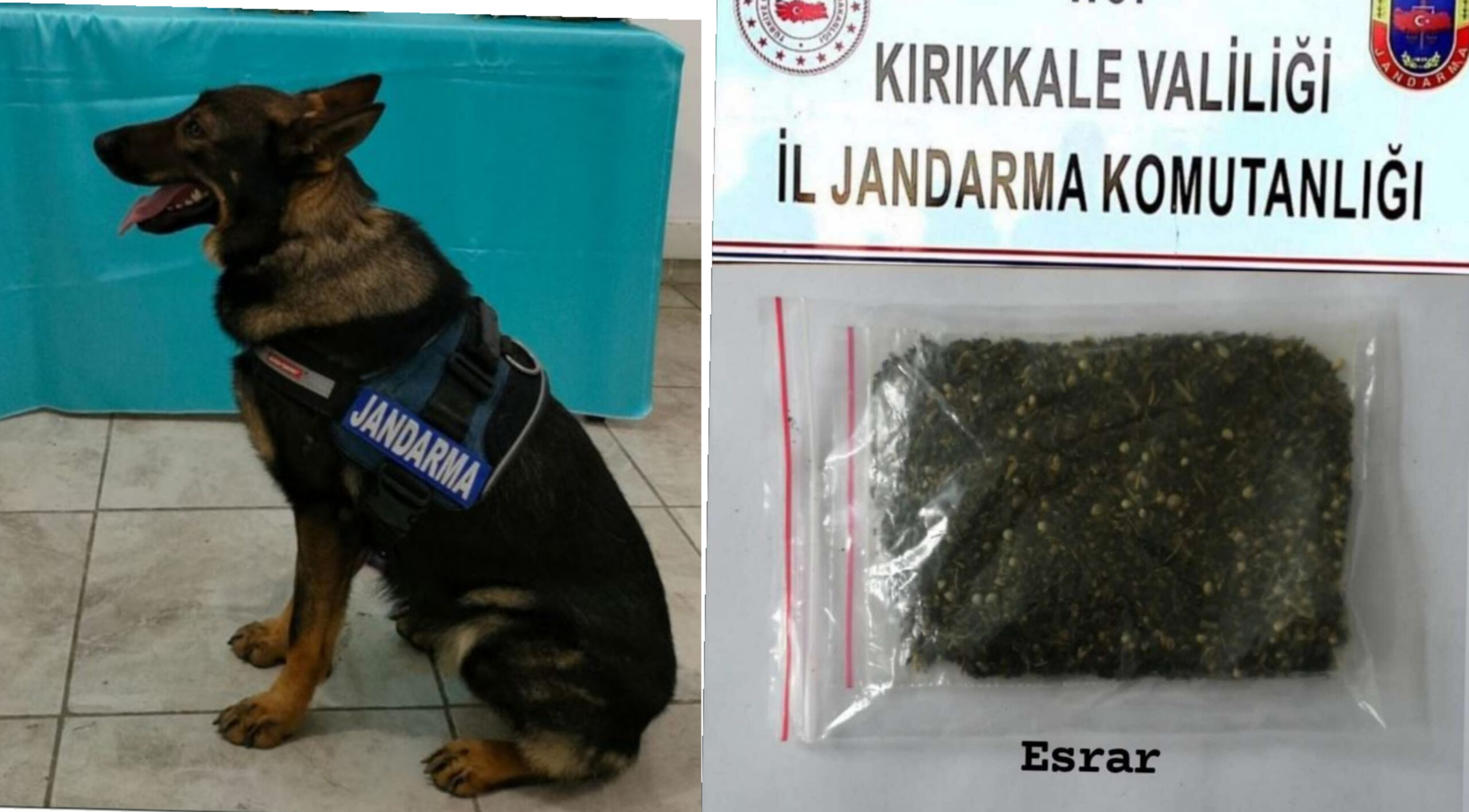 Yahşihan ‘da Esrar Maddesi Ele Geçirildi