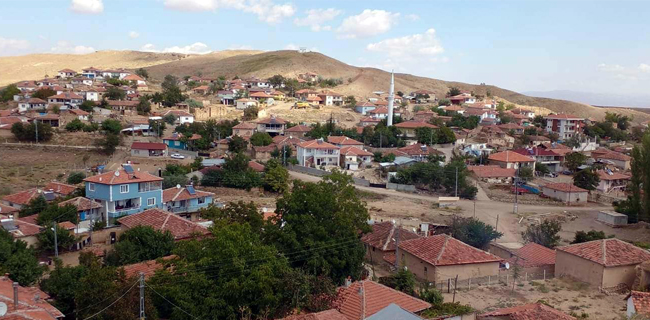 Halitli Köyünde Büyük Hırsızlık Olayı