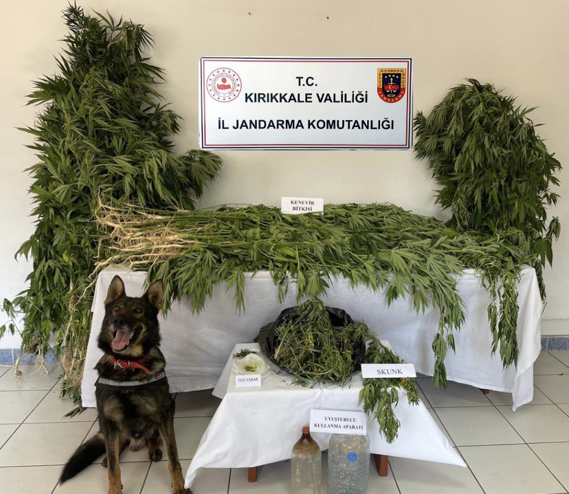 Kırıkkale’de Jandarma Ekiplerinden Başarılı Uyuşturucu Operasyonu; 2 Şüpheli Tutuklandı
