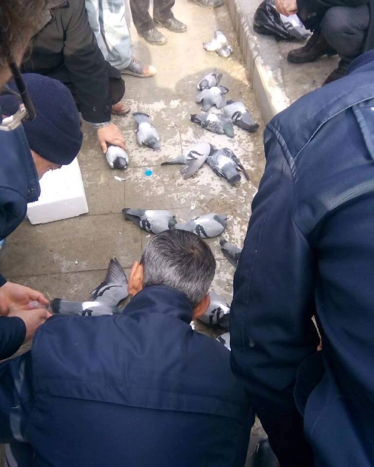 İnceleme Başlatıldı