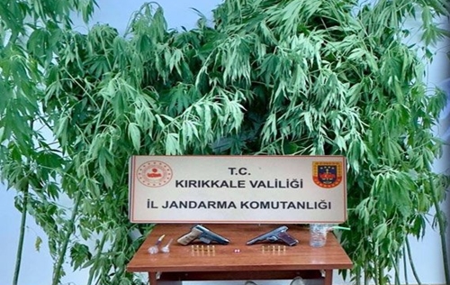 Ahalı’da jandarmadan uyuşturucu operasyonu